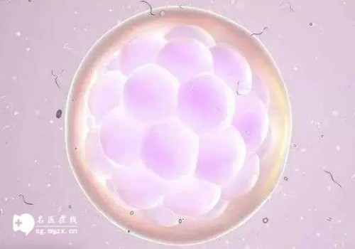 杭州代怀生子机构：﻿孕期血糖高不能吃的食物：日常不忌口当心血糖飙升！