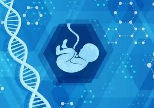 杭州正规代怀：﻿2023年试管助孕指南：想做试管但不了解的患者赶紧收藏